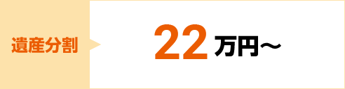 遺産分割 22万円～